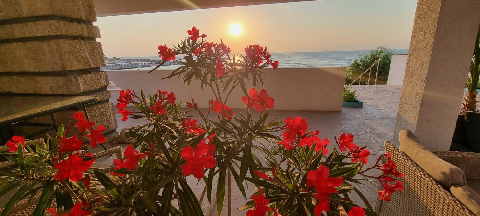 Hotel Iulia Resort Венус Экстерьер фото